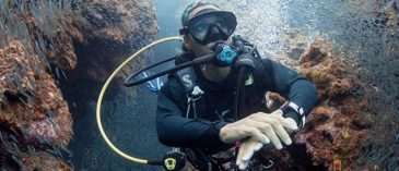 Choosing the Right Dive Site