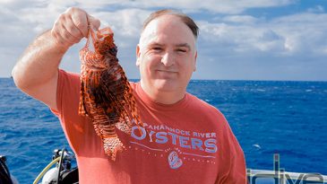 José Andrés Sinks his Teeth into Cayman's Lionfish Invasion