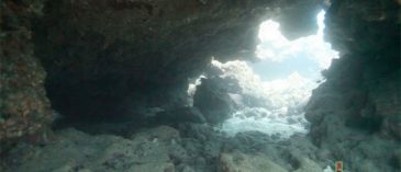 SCUBA Divig Grand Cayman's South Side